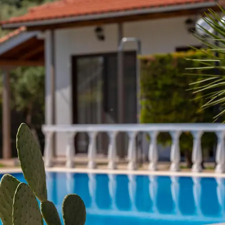 Villa Dimitris Apartments & Bungalows Frinion Exterior photo